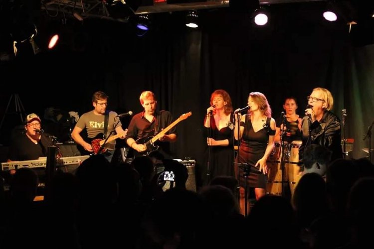 [Foto: ZEROES - The David Bowie Tribute band]
